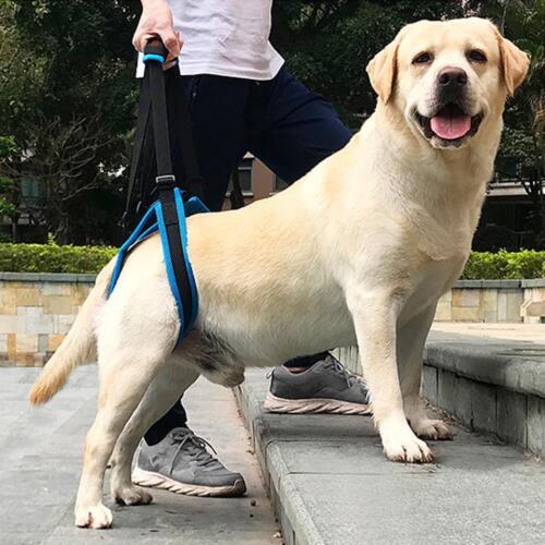 Ayuda para perros ayuda para caminar ayuda para levantar utensilios auxiliares arnés de apoyo para discapacitados - Imagen 1 de 13