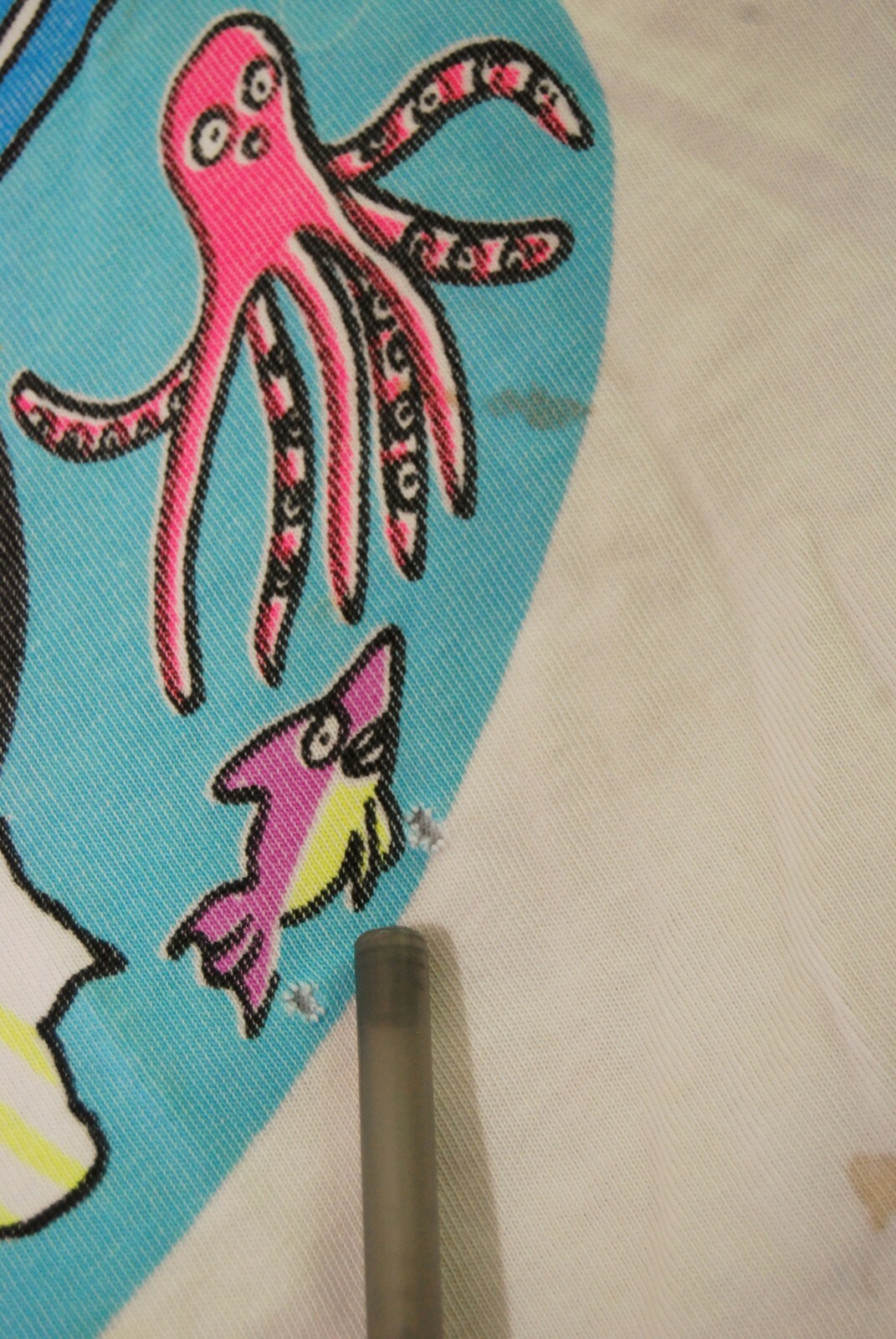 Picture 8 of 8