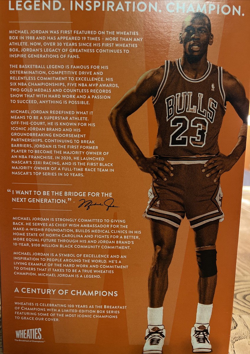 Brand Ambassador Who Owns Jordan Brand Michael Jordan Jordan Brand