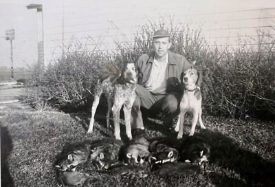 ORIGINAL 1957 PHOTO MAN HUNTING DOGS RACCOONS & MUSKRATS 5 X 3.5  H