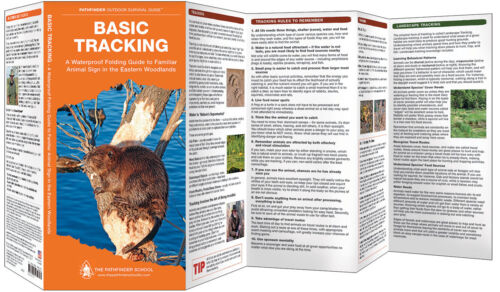 Grundlegende Verfolgung - Jagd Nahrung Notfall Überleben Guide Bug Out Tasche Kit Buch - Bild 2 von 2