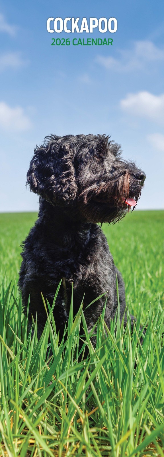 Cockapoo 2026 Slim Calendar