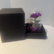 Forever Preserved Rose-Eternal Purple in Glass Dome-Disneys Beauty and The Beast