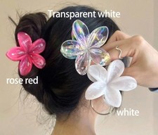 Women's Plastic Hair Clips 3 Pack