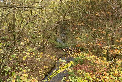 Photo 12x8 A Burn in Alwhibbie Glen Ardwell/NX1045  c2014