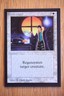 Death Ward NM+ *Magic International Collector's Edition* English MTG Gathering