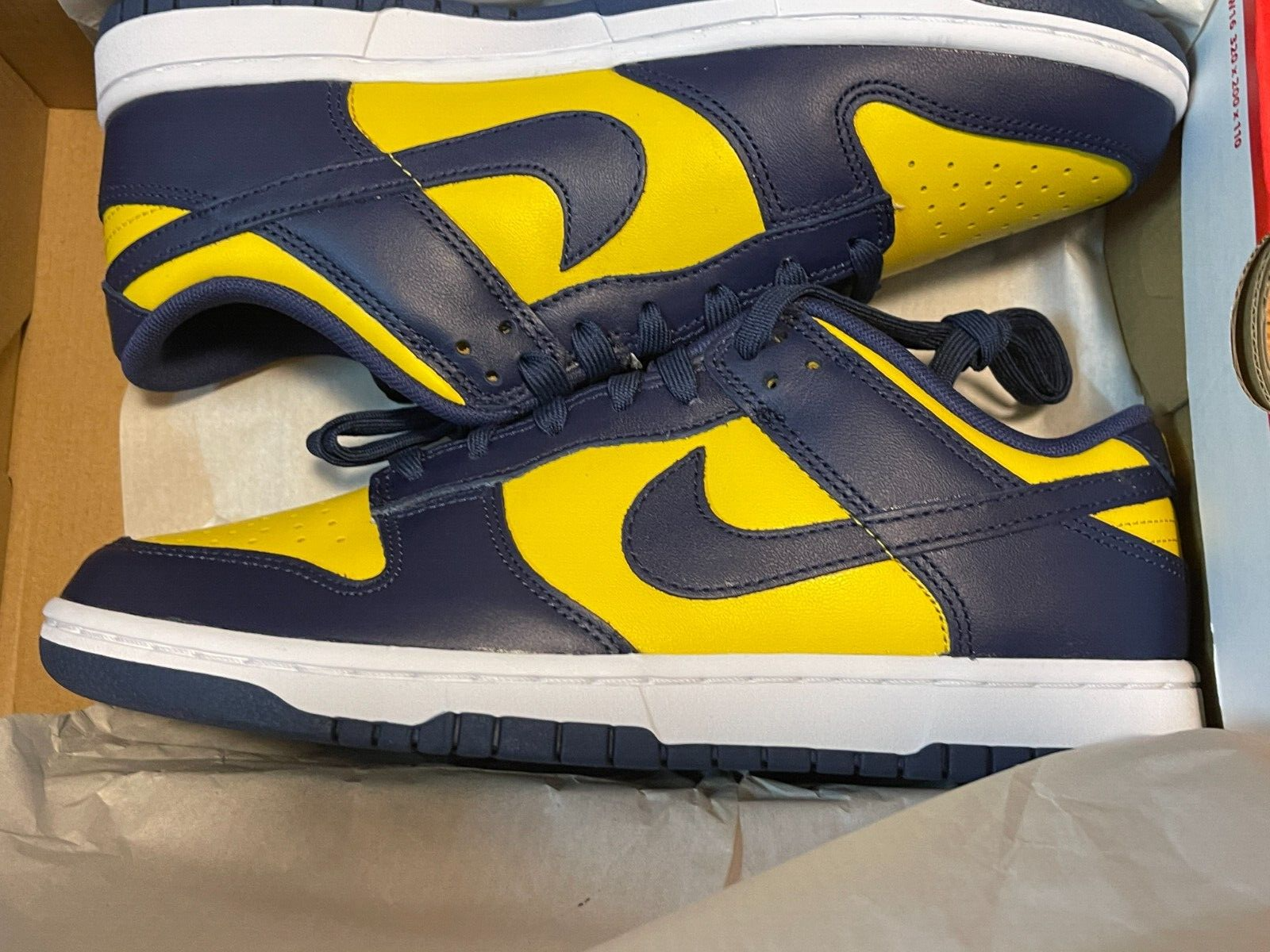 michigan dunk low
