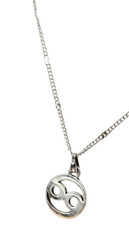 925 Sterling Silver Vintage NV Nevada Swirl Pendant – Collectible Jewelry