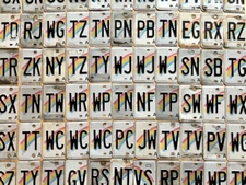 100 Craft Grade Hawaii Cut Halves (Two Letters Each Half) For Crafts