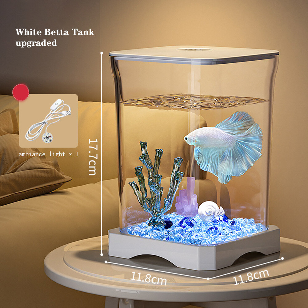 20 Gallon Fish Tank Fish Bowl Small Fish Tank Gallon Glass