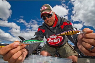 2x Berkley Flicker Shad 9 Cm, Colore Firetail Hot Perch, Esca Affondante Per Pesce Persico, 11-13 Piedi, 1/2 Oz