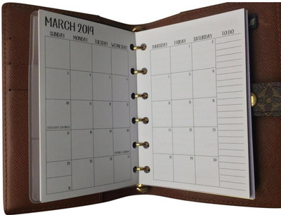 2019 and/or 2020 monthly planner insert calendar fits Louis Vuitton PM agenda | eBay