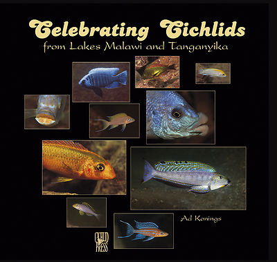 Celebrating Cichlids from Lakes Malawi and Tanganyika