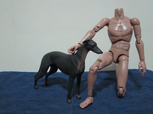 1/6 Scale Dogs Figure Bulldog Shepherd Lingbi Husky Rottweiler Doberman - Picture 101 of 114