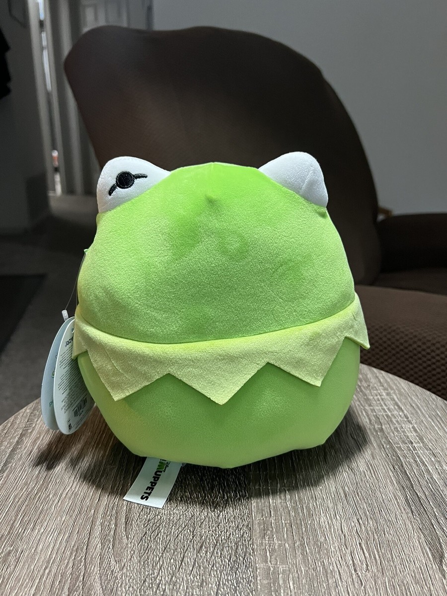 KERMIT THE FROG FLASHCARDS PHONICSカーミット Squishmallow Disney The Muppets Kermit The Frog ERROR 8 inch