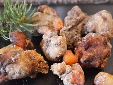 Pinon Pine Resin Natural Fragrance Incense Wild Harvested Sap/Pitch/Rosin