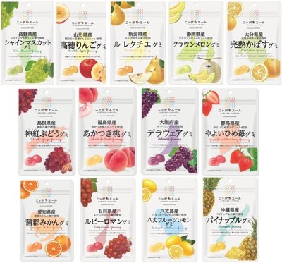 Nippon Ale Gummi 13 kinds 2 sets Assortment National Agricultural Cooperative