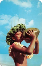 Postcard Green Coconut Milk Bar Hawaiian Style Natives Hawaii HI