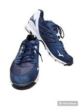 Mizuno Men Baseball 9 Spike Cleat Dominant 2 Low Metal Sz 12.5 Blue/White