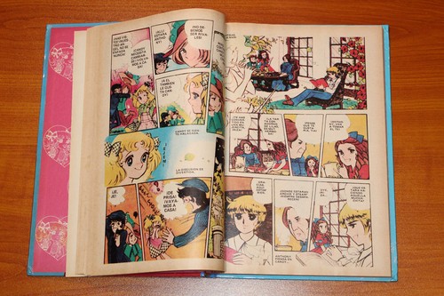COLECCION COMPLETA 3 TOMOS "CANDY CANDY CORAZON" 1ª EDICION BRUGUERA ESPAÑA 1984 - 第 8/10 張圖片