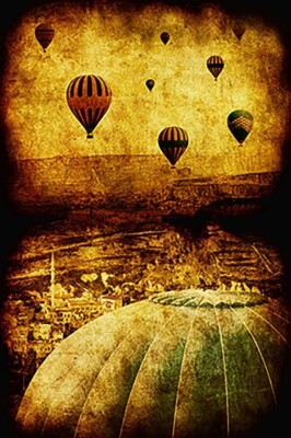 Cerebral Hemisphere Poster, 24'' x 36''  Poster, rolled -FREE shipping