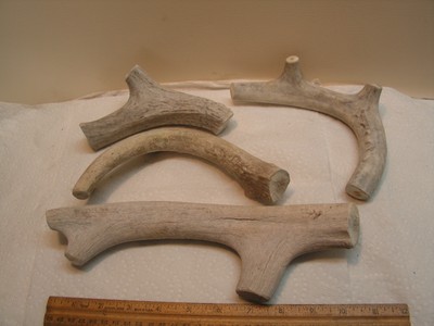 2#+ Pack of 4 LARGE Deer Antler Dog Chews OLD WHITE MOSTLY SOME FINE CRACKS