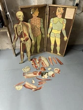 The American Mannequin Co New Outline Map Human System