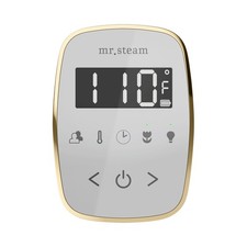 Mr Steam TF Tempoflex Steam Shower Control and Steamhead - White