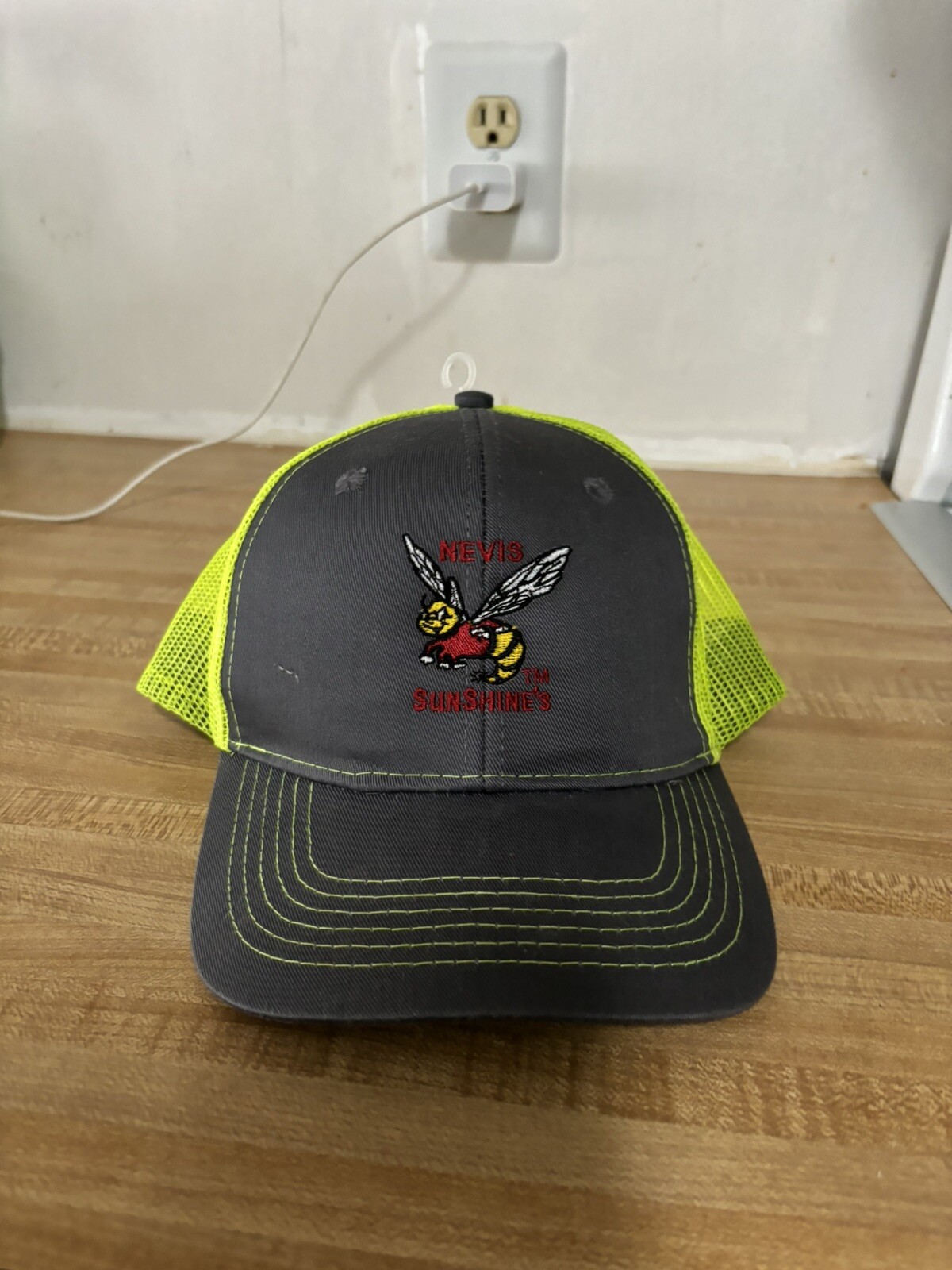 Bee Hat - image 1