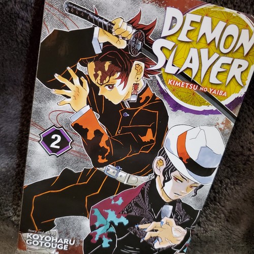 Demon Slayer Kimetsu No Yaiba TPB Volume 2 Manga English - Picture 2 of 6