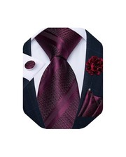 Mens Tie and Lapel Pin Set Silk Plaid Solid Paisley Necktie  Pocket Square C...