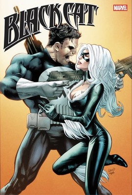   BLACK CAT 11 GREG LAND 1:25 Ratio Variant Punisher