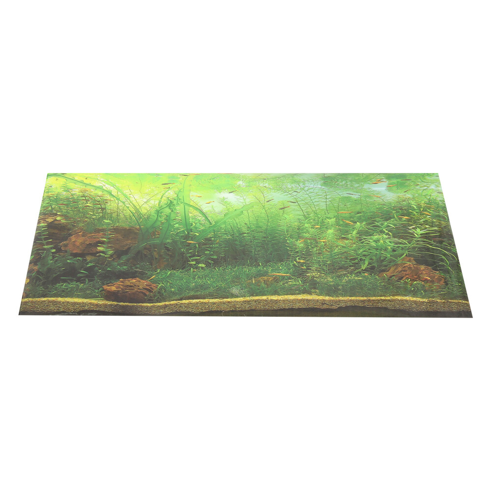 Fish Tank Landscape Picture Underwater Picture Fish Tank Background