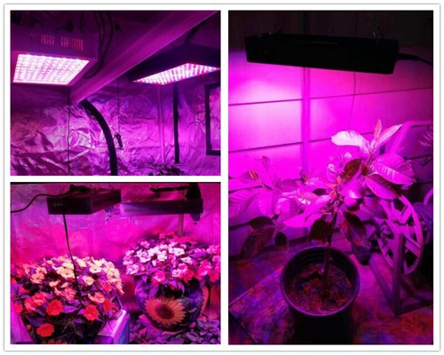 Phlizon LED Grow Light 600W 900W 1200W Pełne spektrum Lampa roślinna Veg Bloom Grow - Zdjęcie 42 z 48