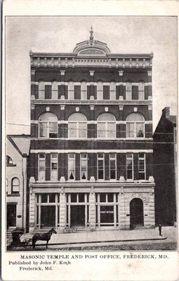 Postcard Maryland Frederick Masonic Temple & Post Office Horse Drawn