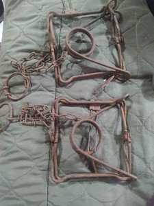 Lot of 4  Bridger Magnum 150 Conibear Traps