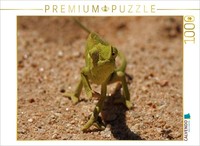Calvendo Puzzle Chameleon | 1000 Pieces, Finished Size 25.2 × 18.9 In (64 × 48 C