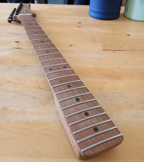 Guitar Anatomy Electric Guitar Neck /Strat (Please Read Description!)