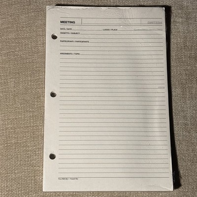 A5-Nachfüllpapier,  Meeting , 3-Loch, 5x50 Blatt/250 Seiten, für Filofax-Planer