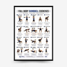 Póster de ejercicio de cuerpo completo con mancuernas para principiantes gimnasio en casa fitness