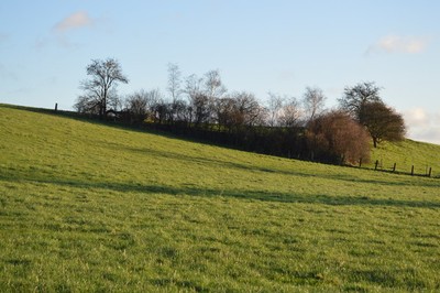 Photo 6x4 Woodland, Wharfedale Pool/SE2445  c2015