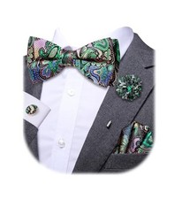 Bowtie for Men Paisley Floral Mens Pretied Bowtie and Lapel Multi Green Red