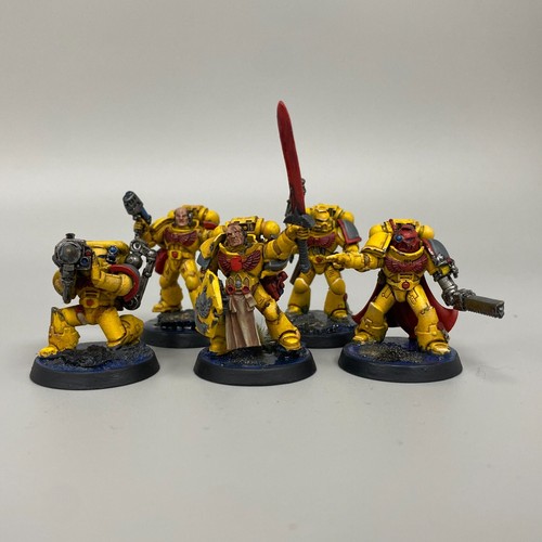 IMPERIAL FISTS ARMY PAINTED SPACE MARINES ADEPTUS ASTARTES WARHAMMER 40,000 40K - Picture 21 of 24