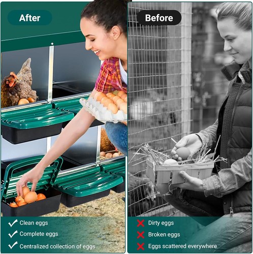 10 Compartments Chicken Nesting Boxes with Rollout Egg Collection & Lid Cover US - Picture 6 of 9