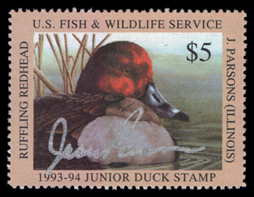 JDS1s — Estampilla de pato junior 1993 firmada por artista, firma de plata - Imagen 1 de 1