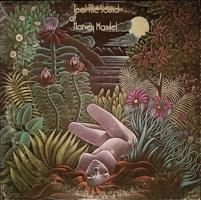 Harvey Mandel - Feel The Sound Of Harvey Mandel LP Album Pit Vinyl Rock 0055