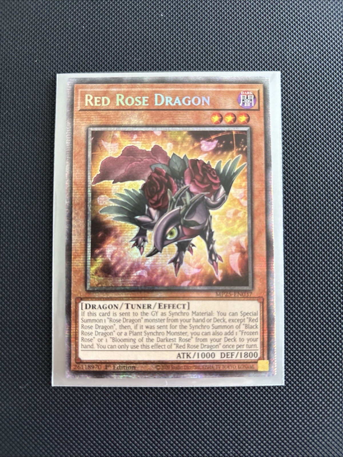 Yu-Gi-Oh! Red Rose Dragon MP25-EN037 2025 Mega-Pack 1st Ed Starlight Holo Eng