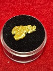 California Natural Gold Nugget  2.7  Grams in a Gem jar w/lid — photo 1