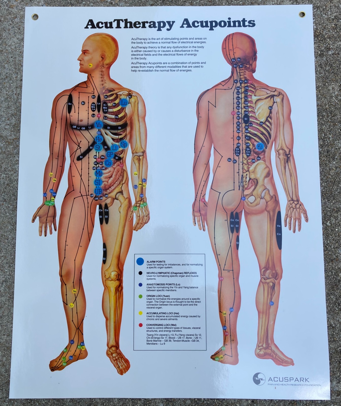 Large Vintage Acupuncture Meridians Points Laminated Poster Chart Wall