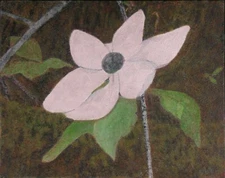 "Bright Spot" Original Acrylic Floral Landscape Painting Trillium 